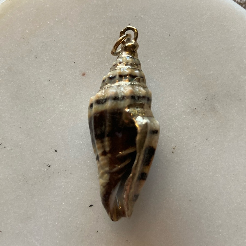 Hawaii Style Pendant Seashell with Gold Accents (Vexillum Plicarium)